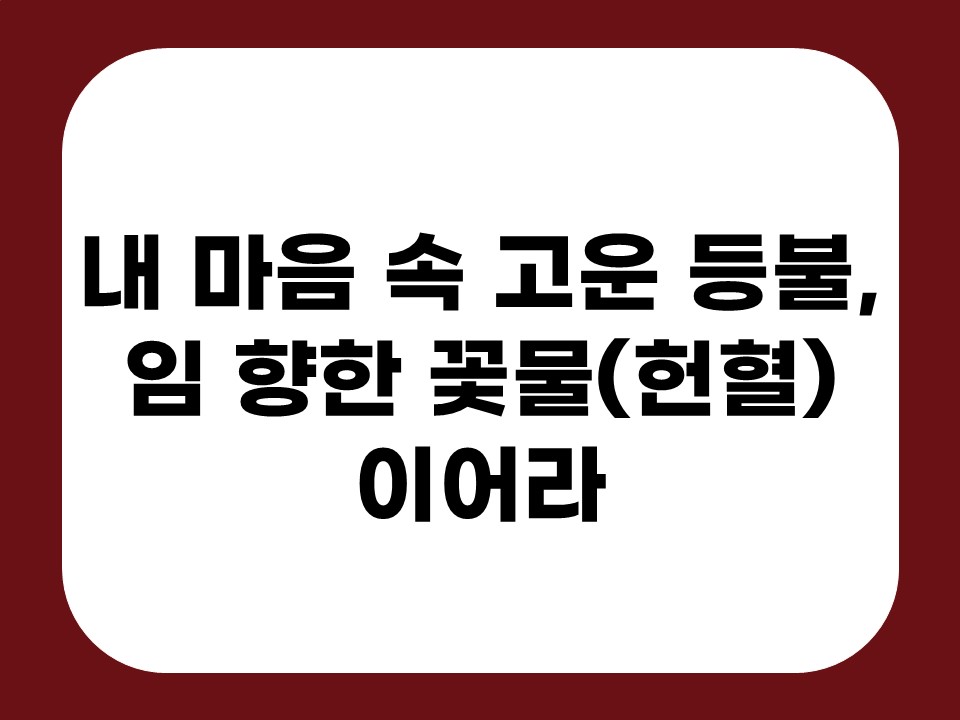 내 마음 속 고운 등불, 임 향한 꽃물(헌혈) 이어라 썸네일